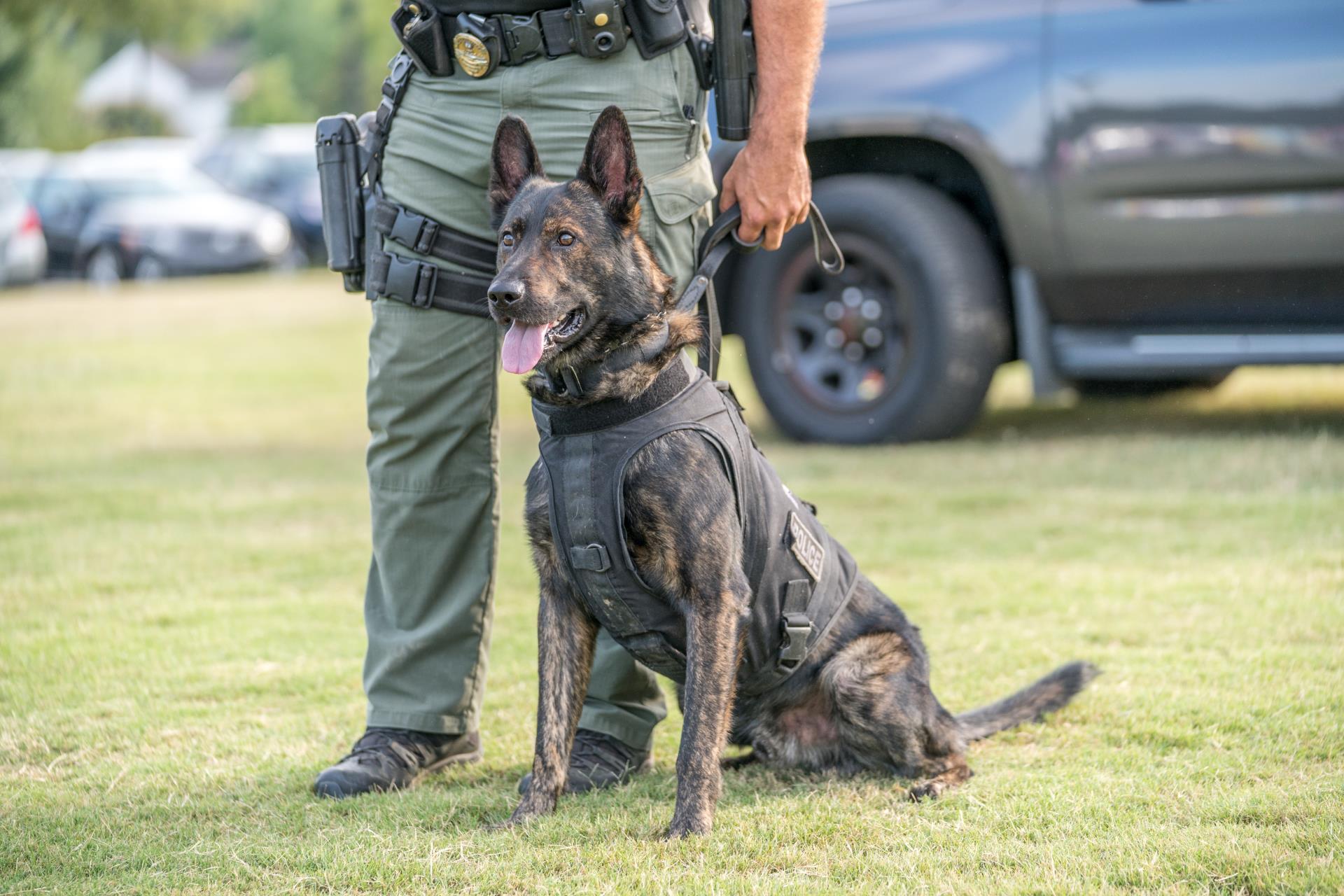 National Night Out