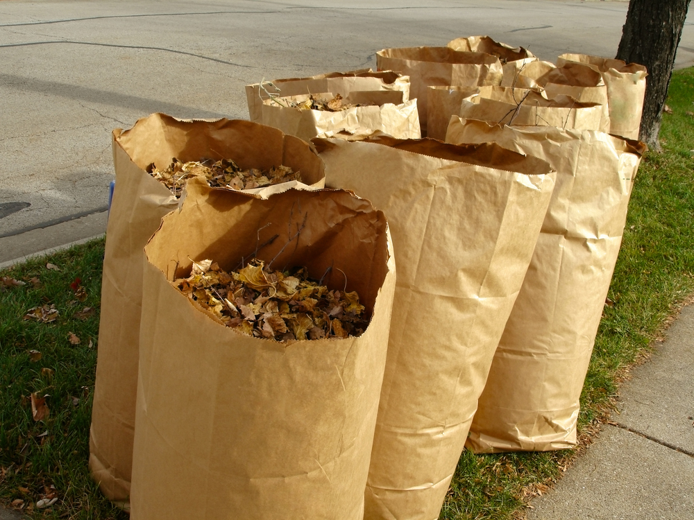 bagged leaves