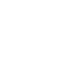 white image of pickleball racket