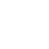 lightning icon