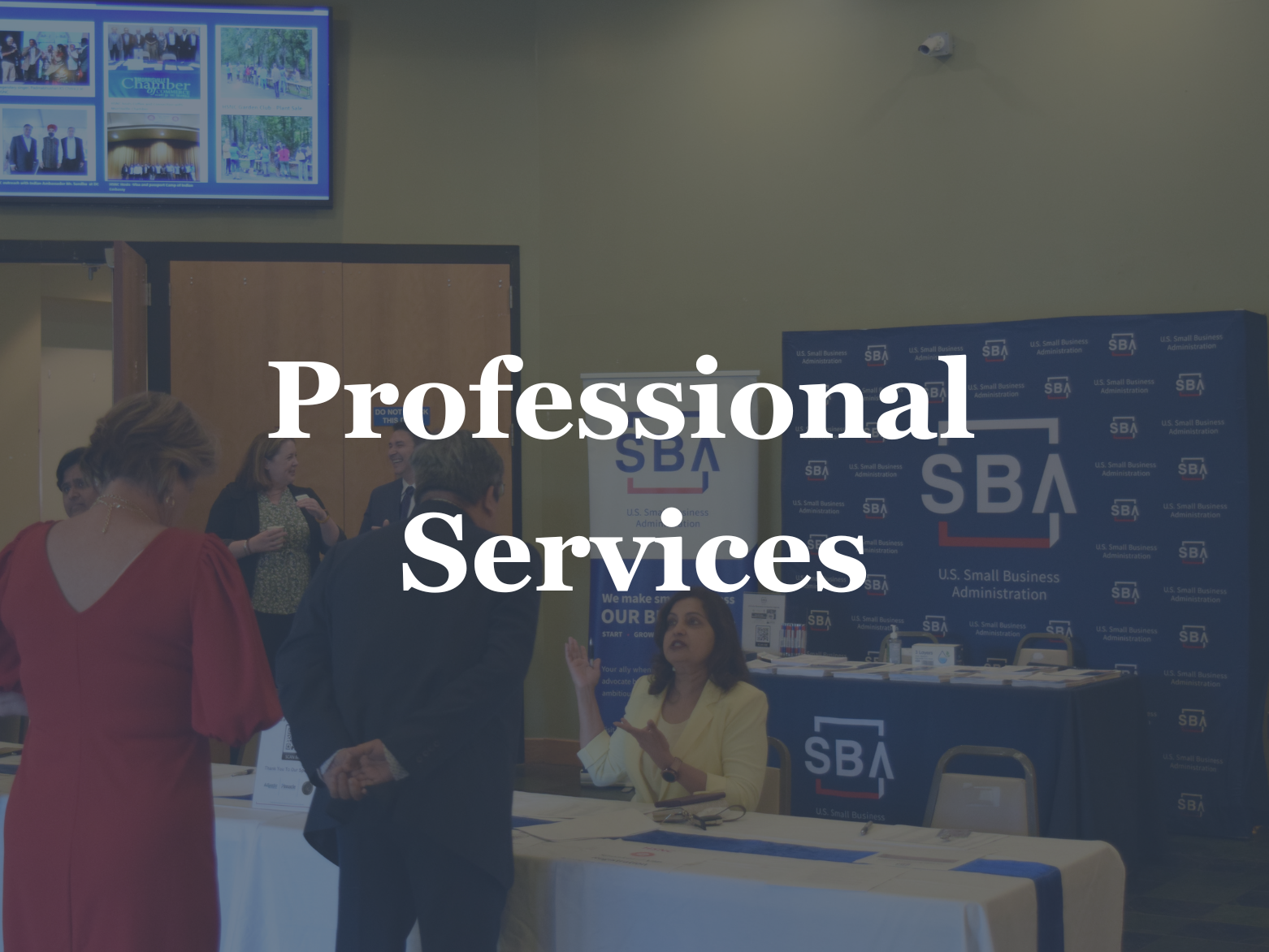 Professional Services