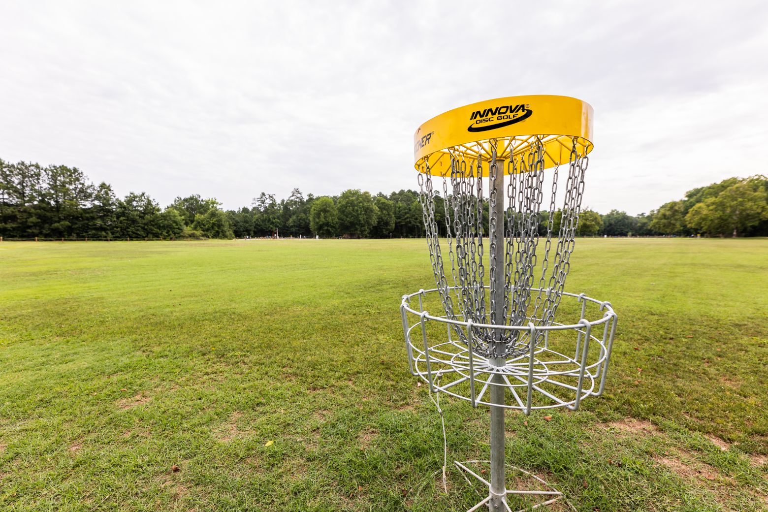 Cedar Fork District Park disc golf