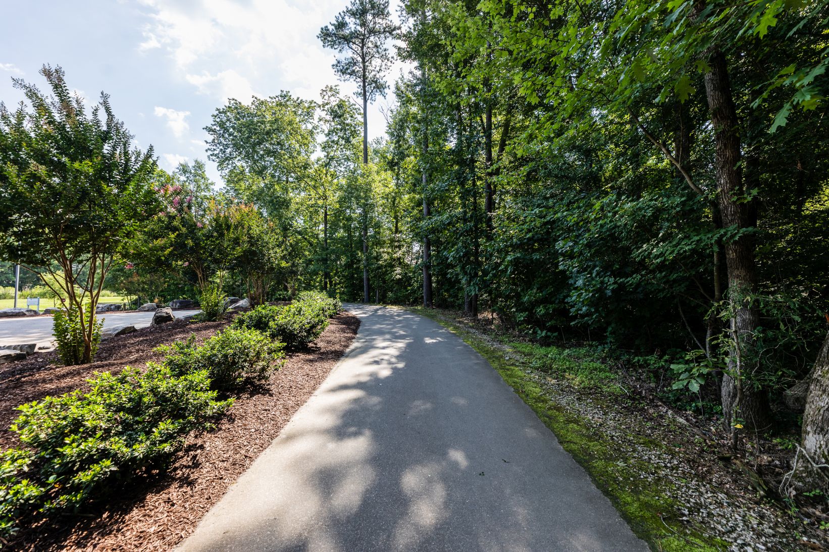 Hatcher Creek Greenway wooded area