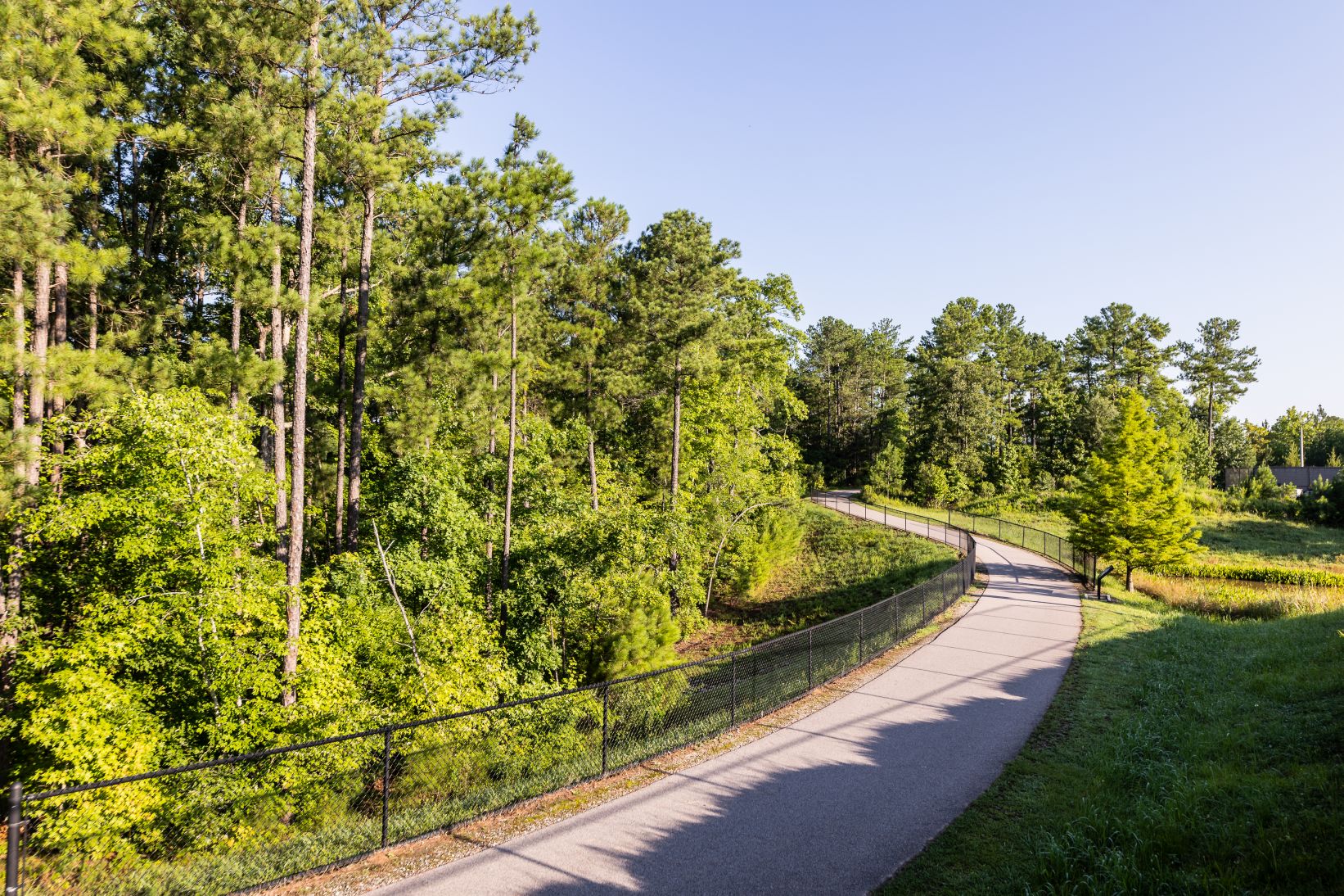 Shiloh Greenway next to trees