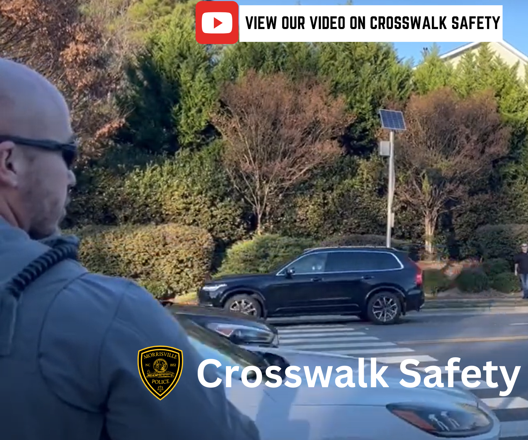 Crosswalk Safety